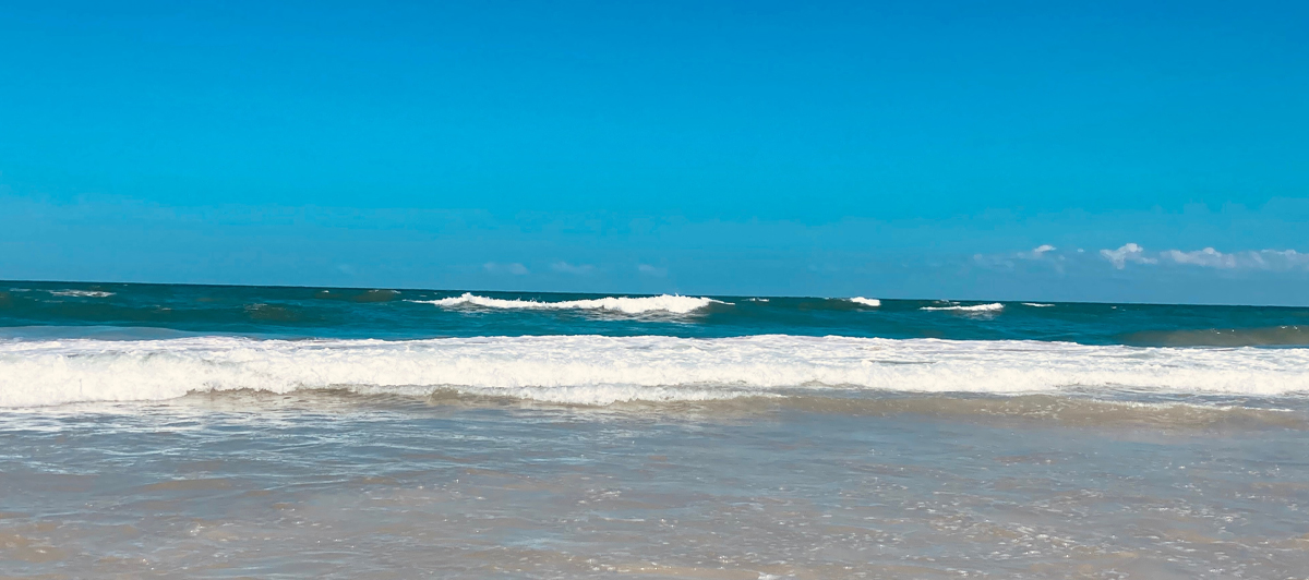 Featured image for “Patient Drowns During Treatment Facility Outing After Rip Current Danger Goes Unchecked”